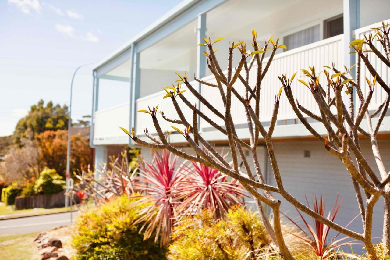 Mollymook Motel Exterior photo